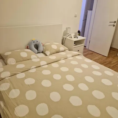 Stylish And Cozy Belgrade